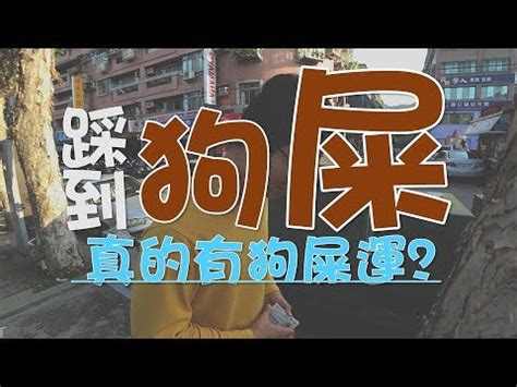 踩到狗大便幾號|【踩到狗大便幾號】踩到狗大便「運」勢好？！中獎號碼意外解。